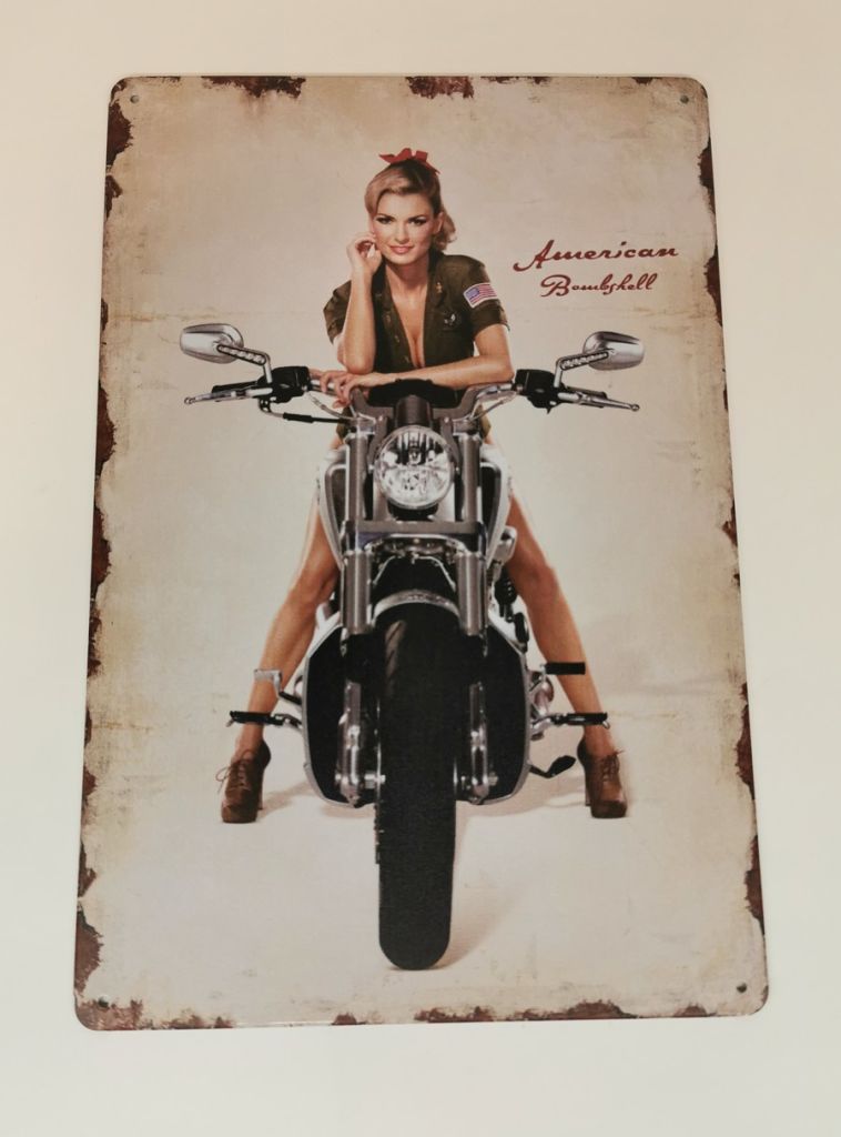 PLAQUE METAL 20 X 30 cm PIN UP SUR MOTO - Photo N°5