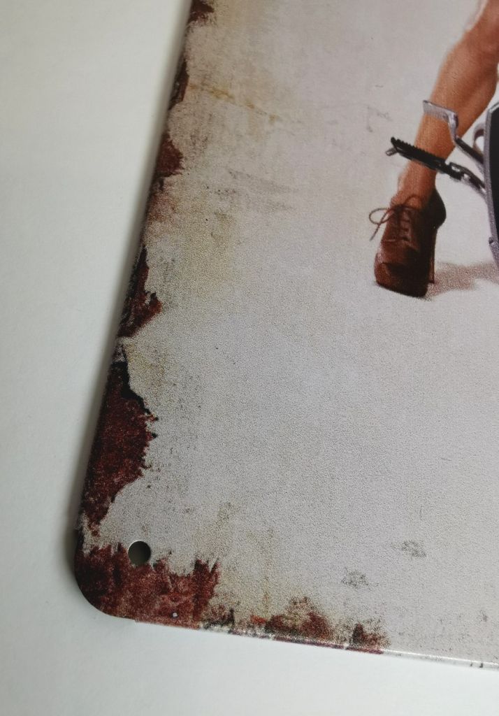 PLAQUE METAL 20 X 30 cm PIN UP SUR MOTO - Photo N°3