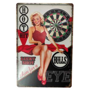 PLAQUE METAL MURALE 20X30 CM TIR DE FLECHETTES ET PIN-UP