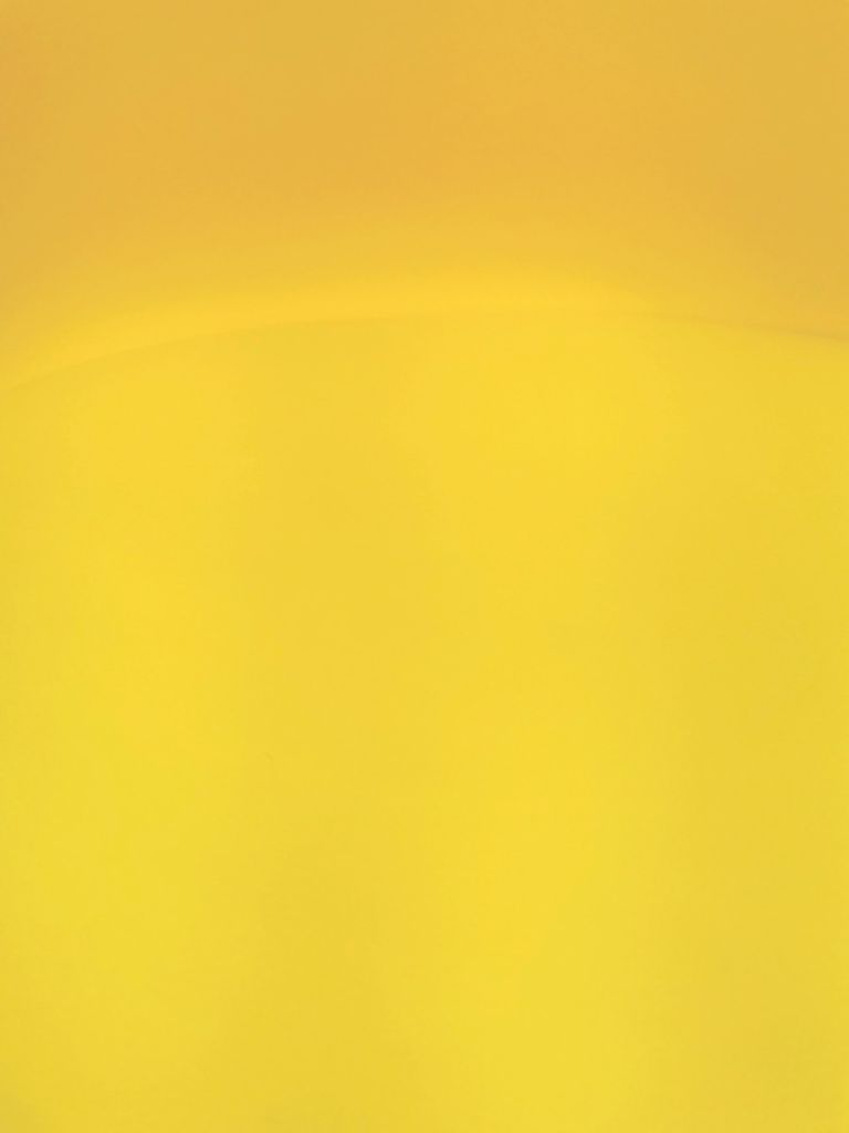 CHAISE EMY COQUILLE PVC ASSISE MATELASSEE 45 X 82 X 58 CM JAUNE MOUTARDE - Photo N°5