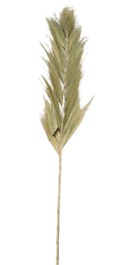 PLUME DECORATIVE SUR TIGE DE BAMBOU FLEUR DE RAYUNG  20 X 200 X 8 CM - Photo N°4