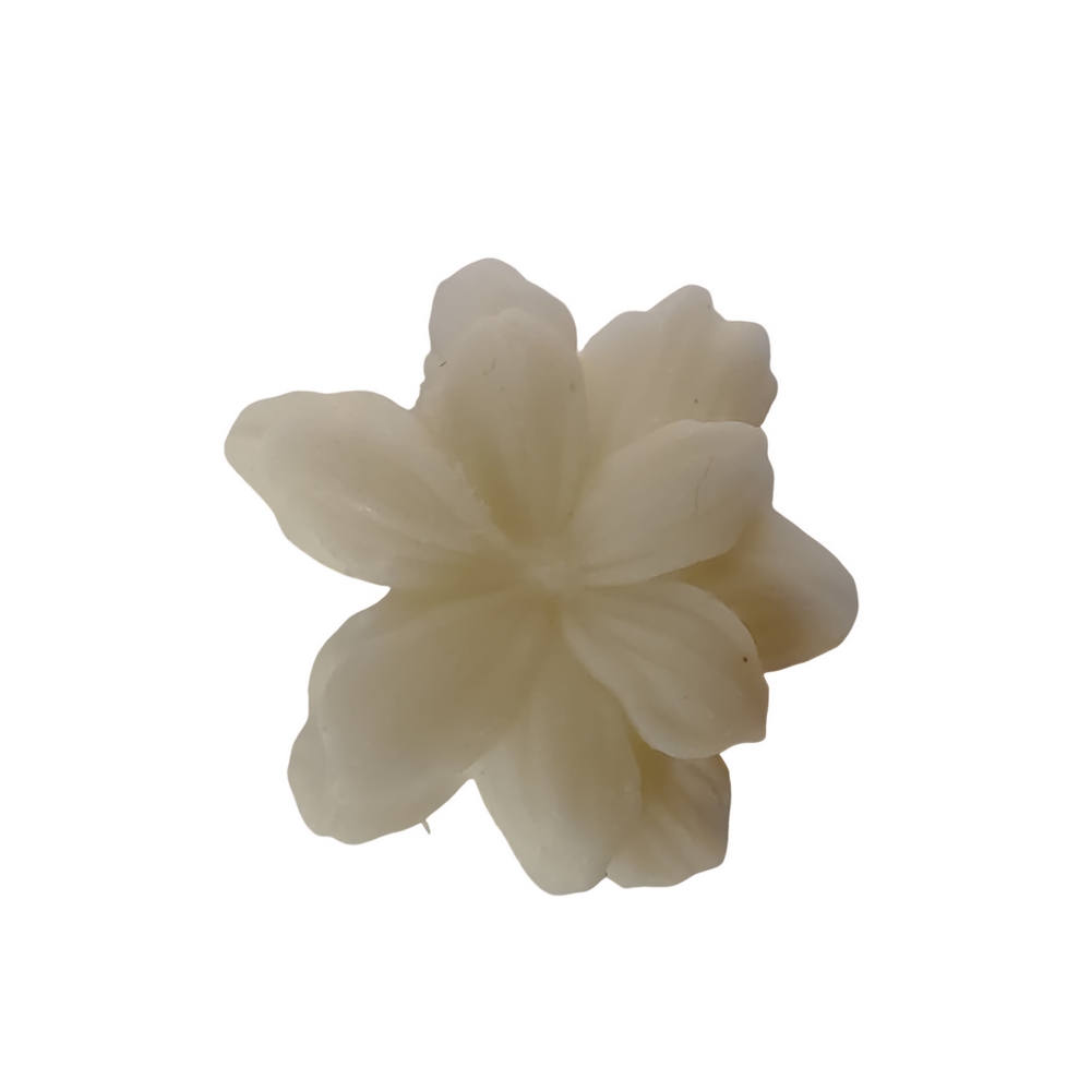 BOITE DE 4 DECORS FONDANTS SENTEUR FREESIA DELICE - Photo N°2