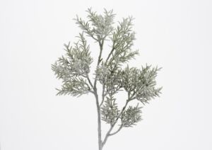 BRANCHE ROMARIN H50 GIVRE