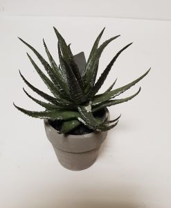 POT CACTUS ROND 14 X 11.5 X 11.5 CM