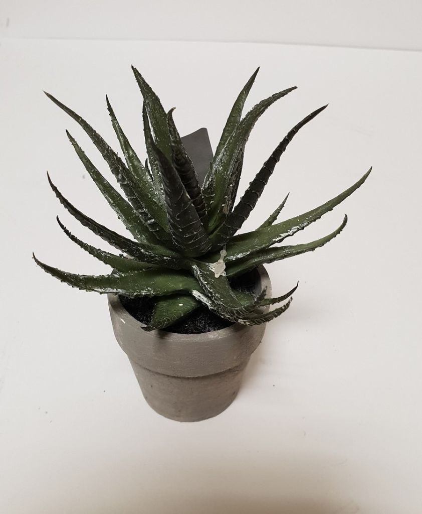 POT CACTUS ROND 14 X 11.5 X 11.5 CM - Photo N°1