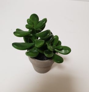 POT CACTUS ROND 12 X 11 X 8 CM