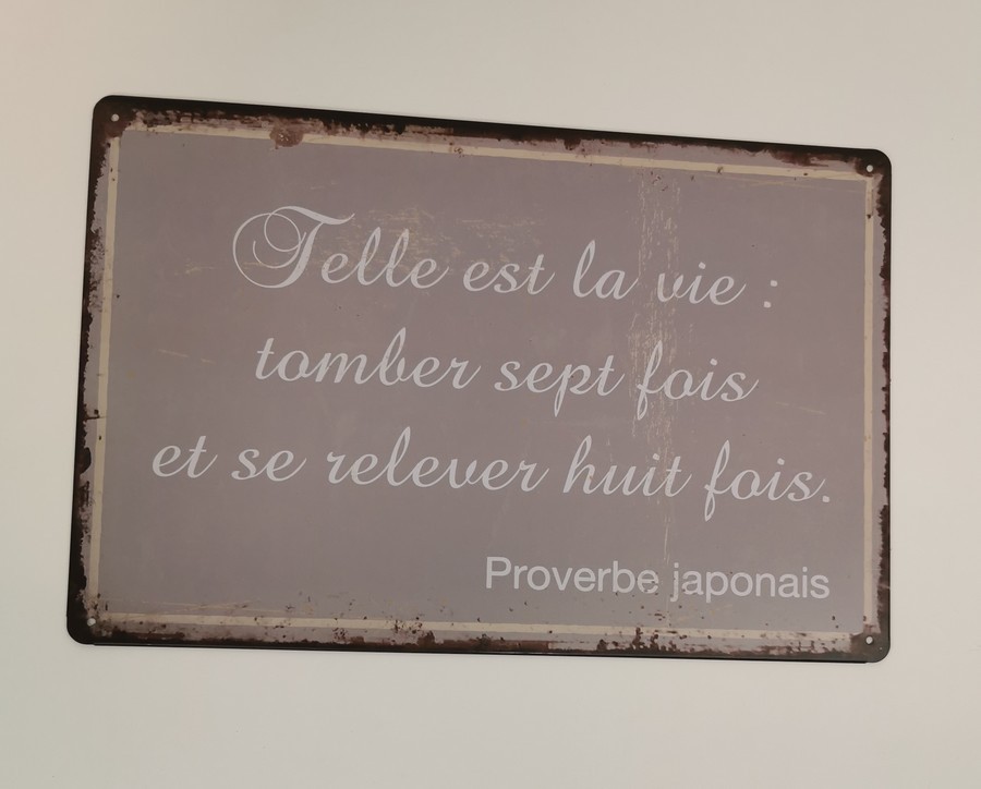 PLAQUE METAL 20X30 CM TELLE EST LA VIE - Photo N°1