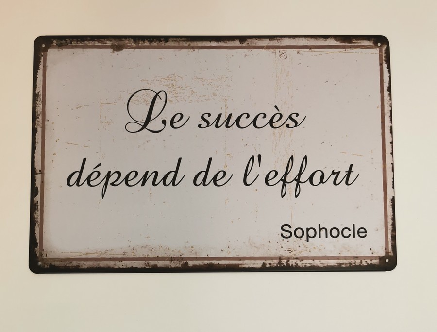PLAQUE METAL 20X30 CM LE SUCCES DEPEND DE L'EFFORT - Photo N°1