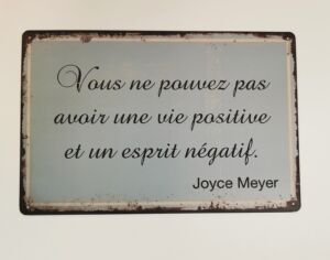 PLAQUE METAL 20X30 CM VOUS NE POUVEZ PAS