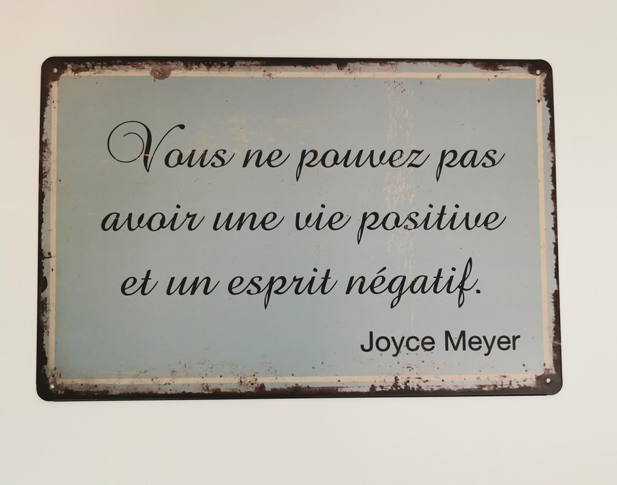 PLAQUE METAL 20X30 CM VOUS NE POUVEZ PAS - Photo N°1