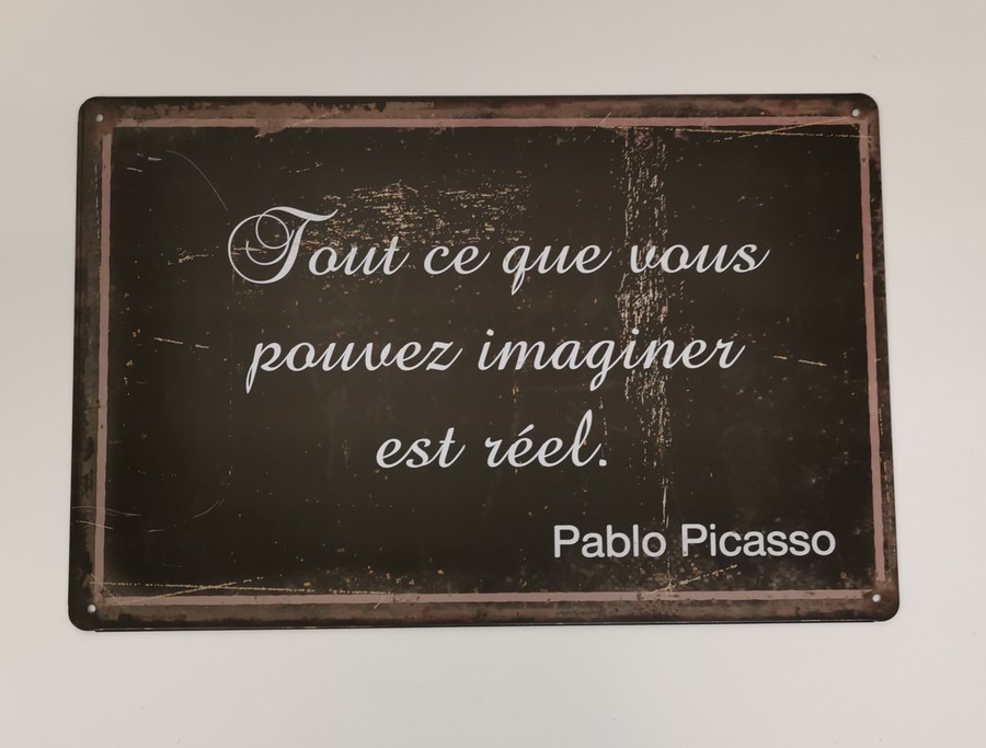 PLAQUE METAL 20X30 CM TOUT CE QUE VOUS POUVEZ IMAGINER EST REEL - Photo N°1