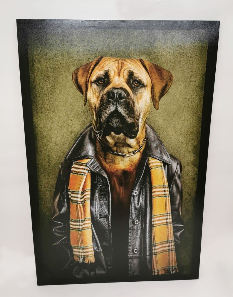 IMPRESSION SUR TOILE BOXER HUMANISE 60 X 90 CM - Photo N°1