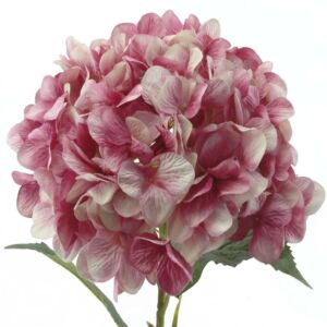 HORTENSIA GEANT ROSE DELAVE 115 CM Ø 32 CM