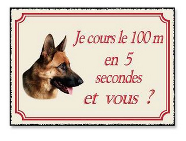 PLAQUE METAL CHIEN JE COUS LE 100 M EN 5 SECONDES ET VOUS ? 20X30 CM - Photo N°1