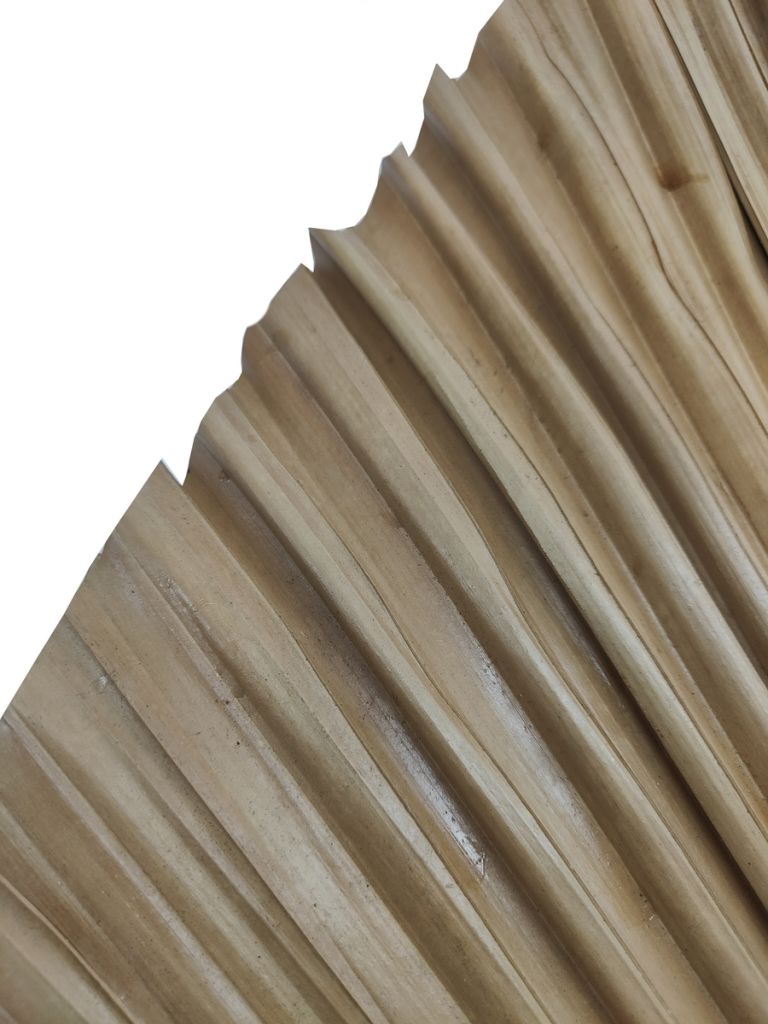 FEUILLE DECORATIVE SUR TIGE DE BAMBOU ET FEUILLE DE PALMIER SECHEES  25 X 200 CM - Photo N°3