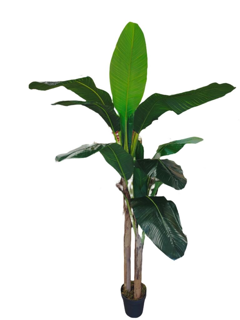 BANANIER ARTIFICIEL EN POT 200 CM - Photo N°1