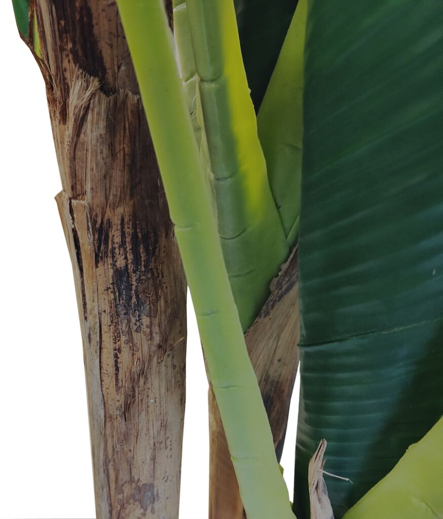 BANANIER ARTIFICIEL EN POT 200 CM - Photo N°5