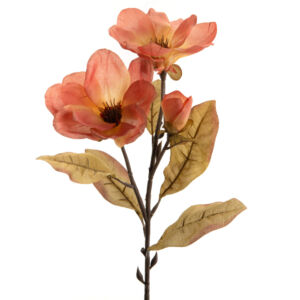 MAGNOLIA FAIRY ORANGE  79 CM DIAMETRE 15 CM