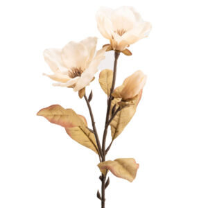 MAGNOLIA FAIRY BEIGE  79 CM DIAMETRE 15 CM