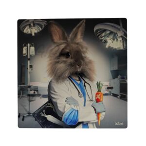 IMPRESSION S BINET LAPIN INFIRMIER SUR DIBOND AVEC ATTACHE 20 X 20 CM