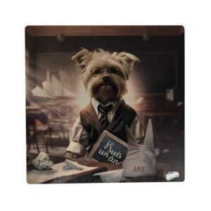 IMPRESSION S BINET CHIEN ECOLE SUR DIBOND AVEC ATTACHE 20 X 20 CM