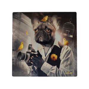 IMPRESSION S BINET CHIEN PHOTO SUR DIBOND AVEC ATTACHE 20 X 20 CM