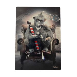 IMPRESSION S BINET SINGE BARBER SUR DIBOND AVEC ATTACHE 20 X 28 CM
