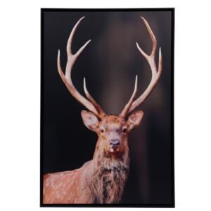TOILE IMPRIME D'UN CERF 80 X 120 CM