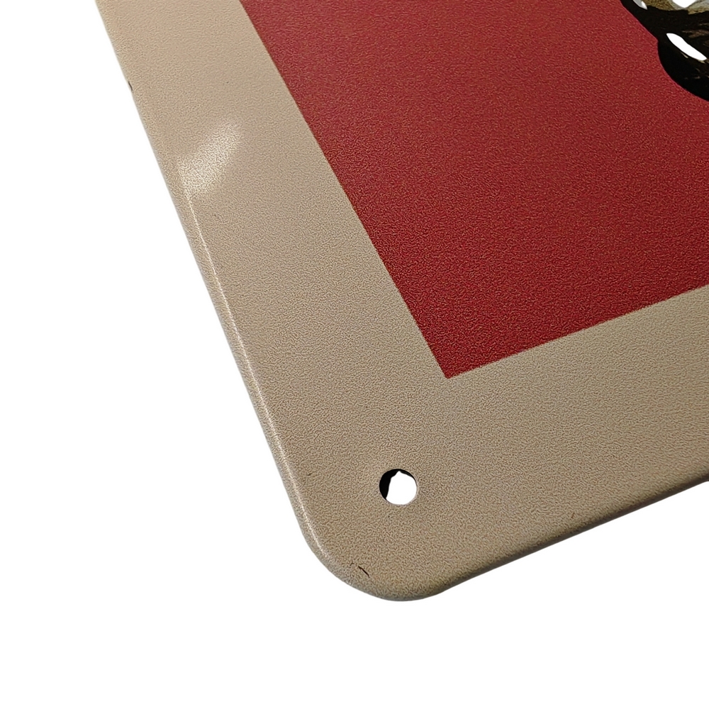 PLAQUE METAL 20X30 CM RECETTE DE MOJITO - Photo N°2