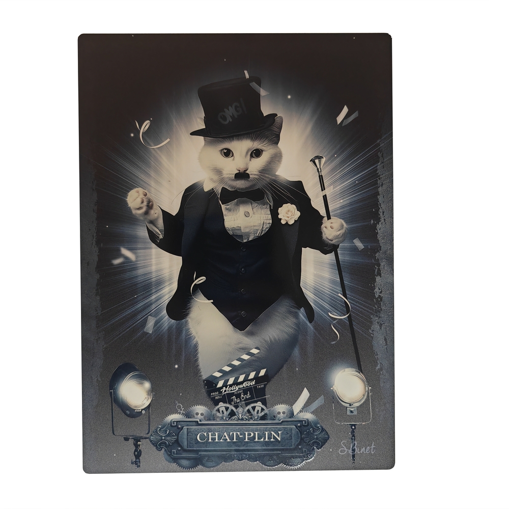IMPRESSION S BINET CHAT-PLIN SUR DIBOND AVEC ATTACHE 20 X 28 CM - Photo N°1