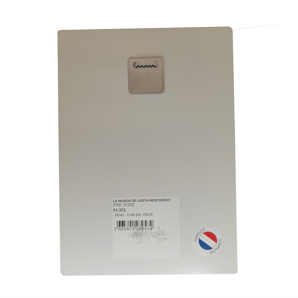 IMPRESSION S BINET CHAT-PLIN SUR DIBOND AVEC ATTACHE 20 X 28 CM - Photo N°2