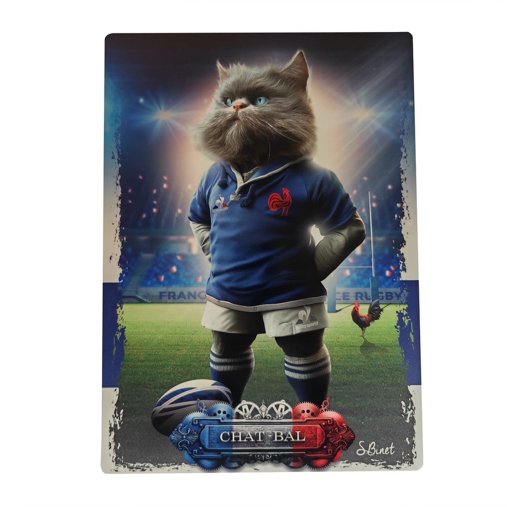 IMPRESSION S BINET CHAT BAL SUR DIBOND AVEC ATTACHE 20 X 28 CM - Photo N°1