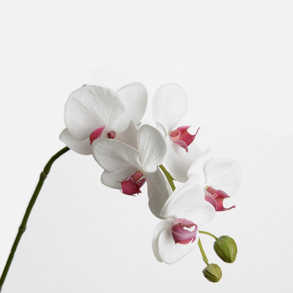 ORCHIDEE PHALAE VIOLACEA 62 CM - Photo N°1