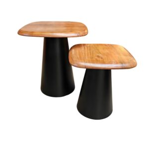 SET DE 2 TABLES BASSES EN ACACIA ET METAL NOIR 48 X 43 X 48 - 38 X 38 X 38 CM