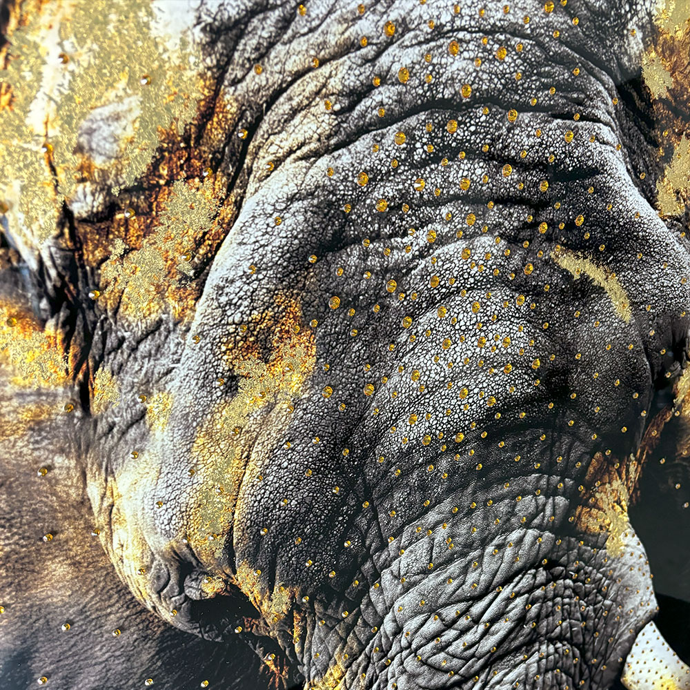 IMPRESSION LIQUID ART TETE D'ELEPHANT 80 X 120 CM - Photo N°4