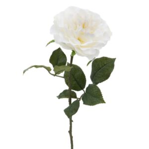 ROSE GENEROSA 58 CM COULEUR BLANCHE