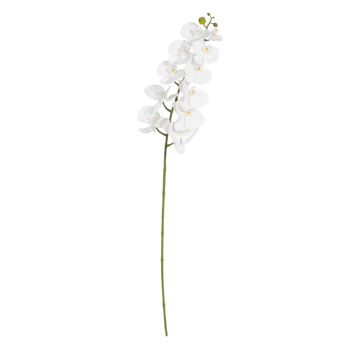 BRANCHE D ORCHIDEE PHALAENOPSIS BLANCHE 107 CM - Photo N°6