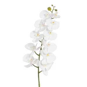 BRANCHE D ORCHIDEE PHALAENOPSIS BLANCHE 107 CM