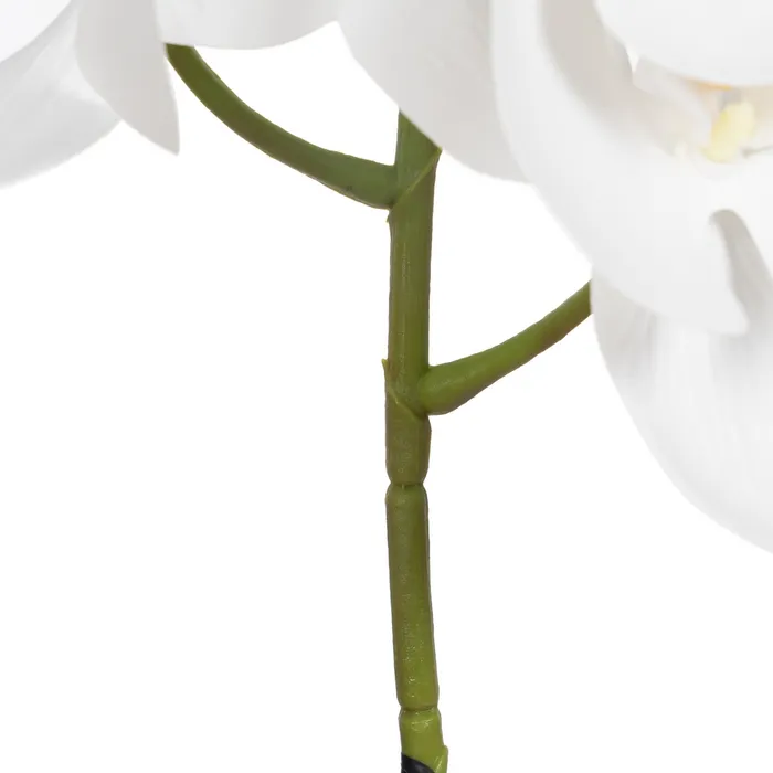 BRANCHE D ORCHIDEE PHALAENOPSIS BLANCHE 107 CM - Photo N°3