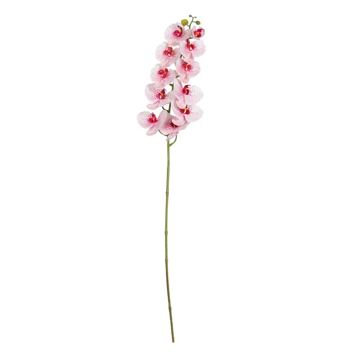 BRANCHE D ORCHIDEE PHALAENOPSIS ROSE 107 CM - Photo N°5