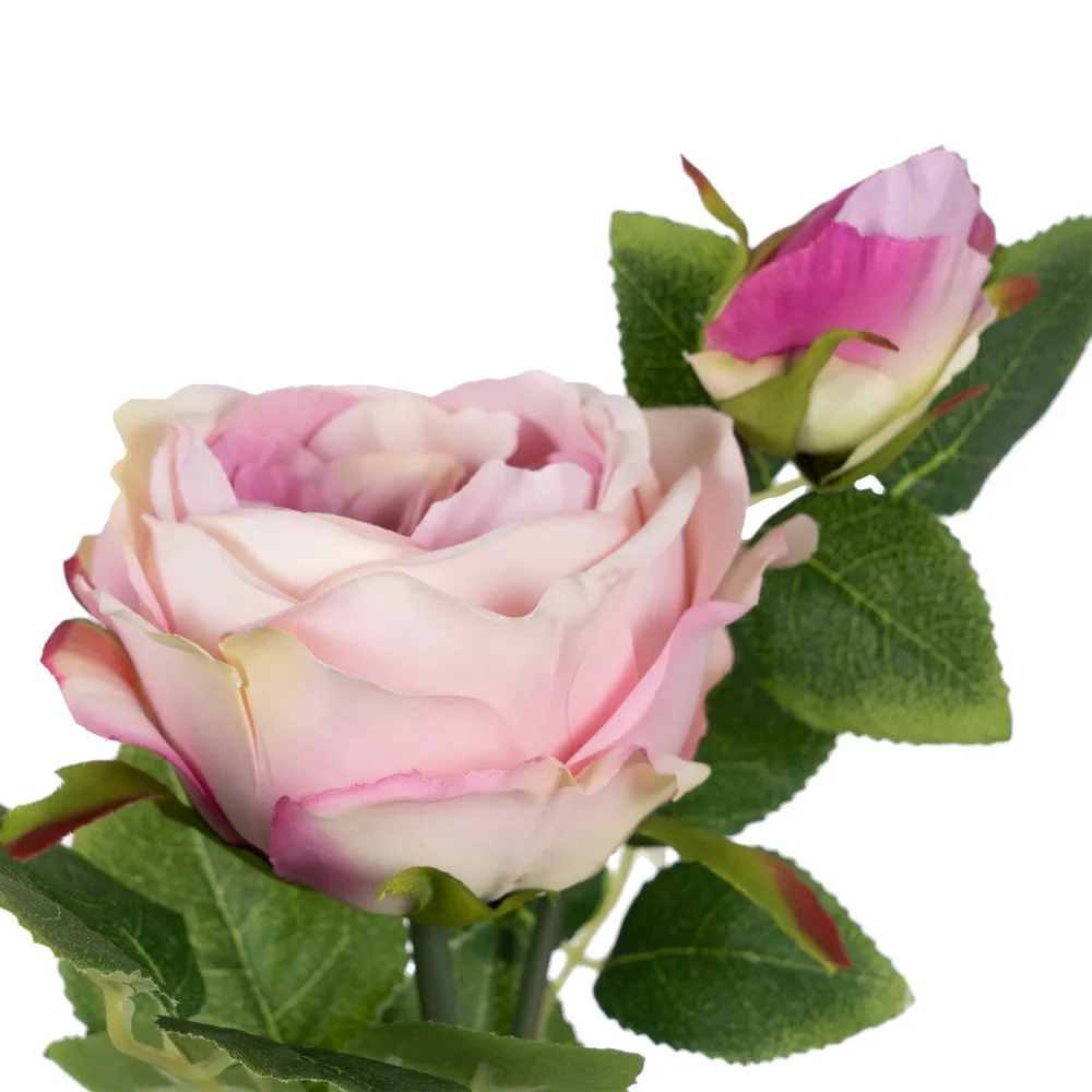 ROSE MELODY 69 CM COULEUR ROSE PALE - Photo N°4