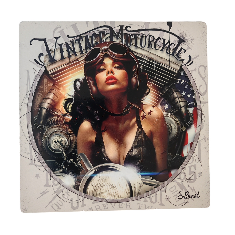 IMPRESSION S BINET PIN UP BIKER SUR DIBOND AVEC ATTACHE 20 X 20 CM - Photo N°1