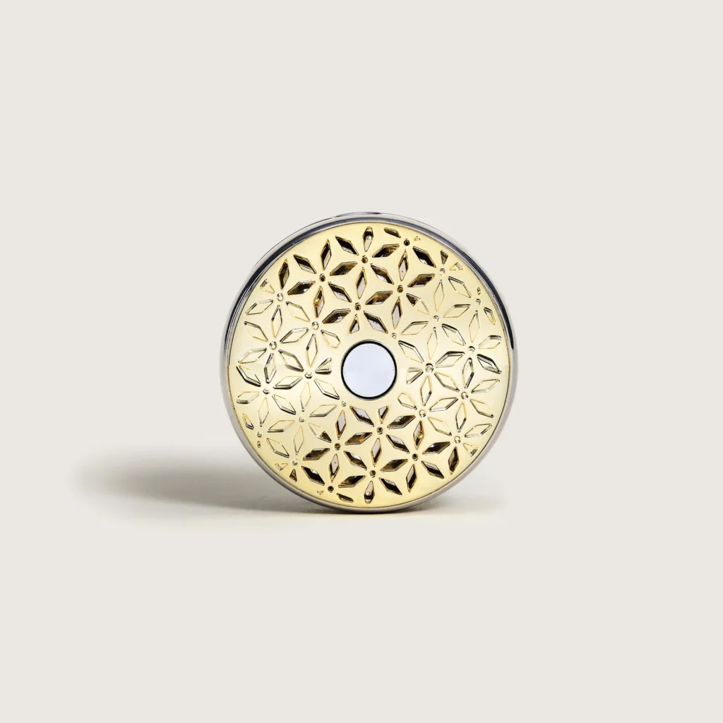 KIT PINCE DIFFUSEUR VOITURE SPLENDEUR VANILLEE LAMPE BERGER - Photo N°4