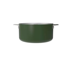LA MERVEILLEUSE CASSEROLE COCOTTE INOX 20 CM COULEUR VERT FOUGERE