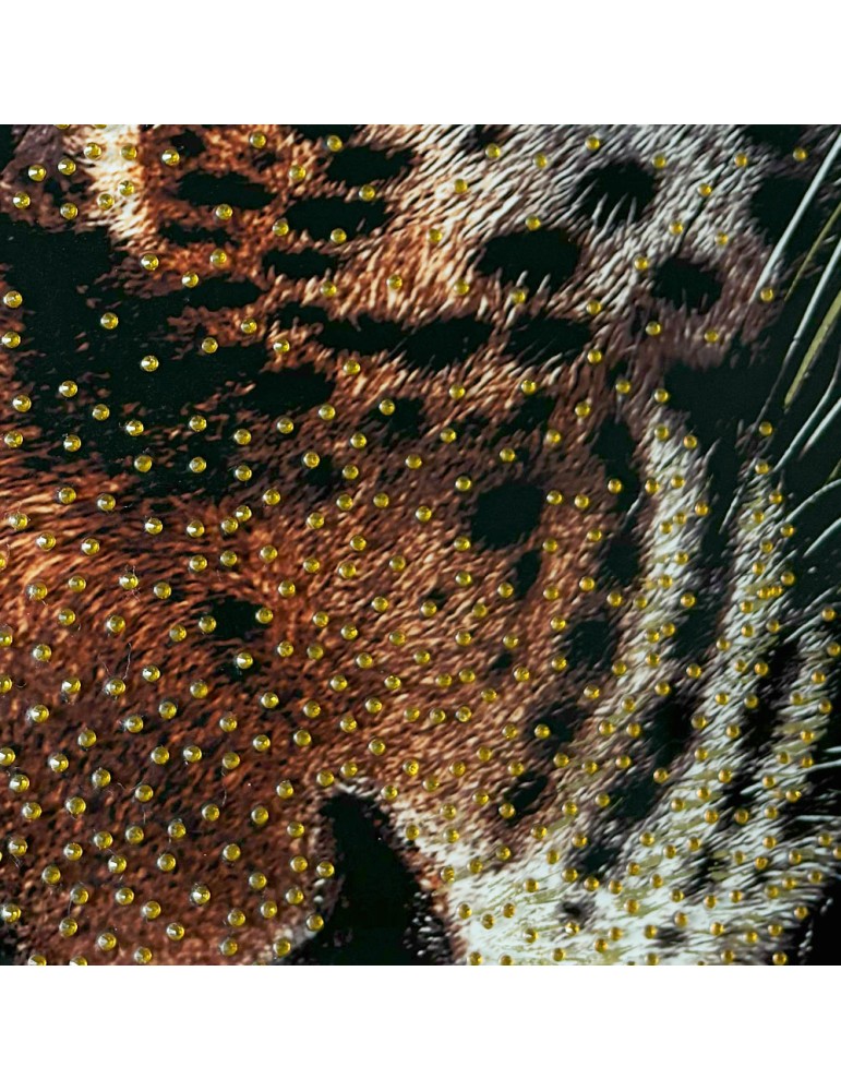 IMPRESSION LIQUID ART LEOPARD ET PAPILLONS 80 X 120 CM - Photo N°3