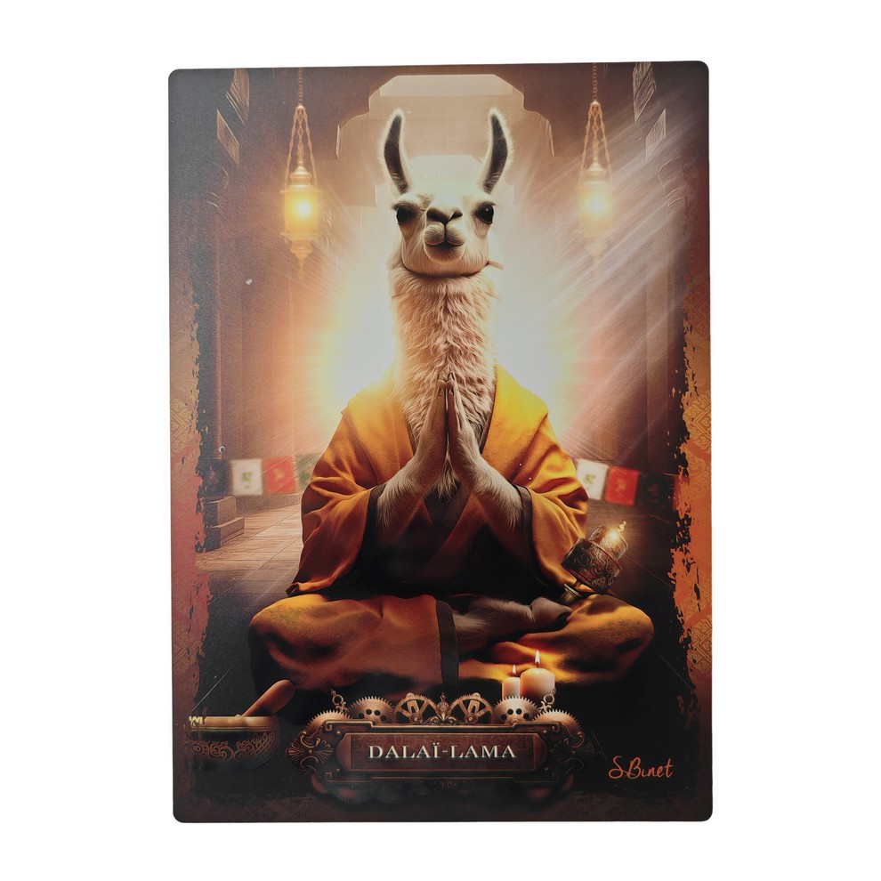 IMPRESSION S BINET DAILA LAMA SUR DIBOND AVEC ATTACHE 20 X 28 CM - Photo N°1