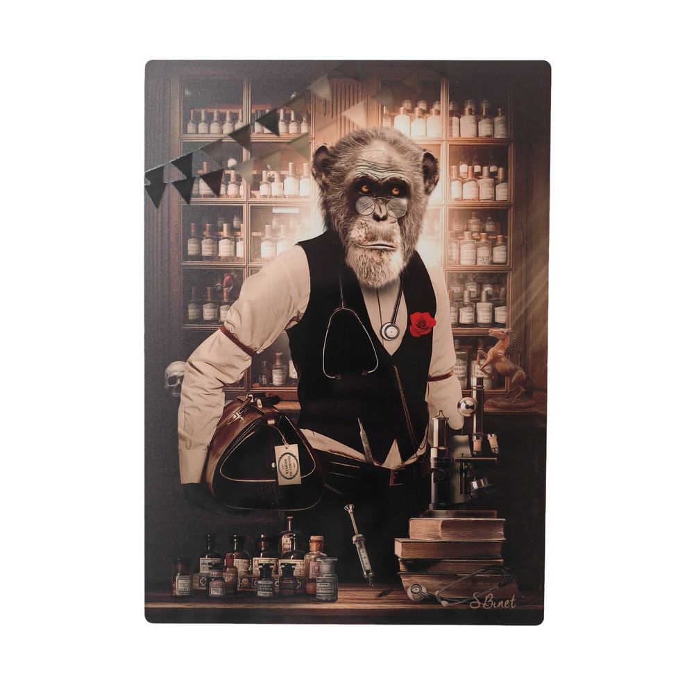 IMPRESSION S BINET SINGE DOCTEUR VINTAGE SUR DIBOND AVEC ATTACHE 20 X 28 CM - Photo N°1