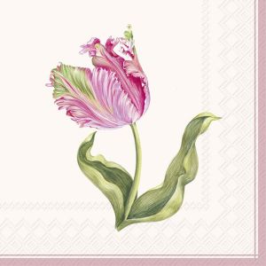 20 SERVIETTES EN PAPIER TULIPES DRISELLE CREME 33 X 33 CM