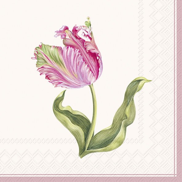 20 SERVIETTES EN PAPIER TULIPES DRISELLE CREME 33 X 33 CM - Photo N°1