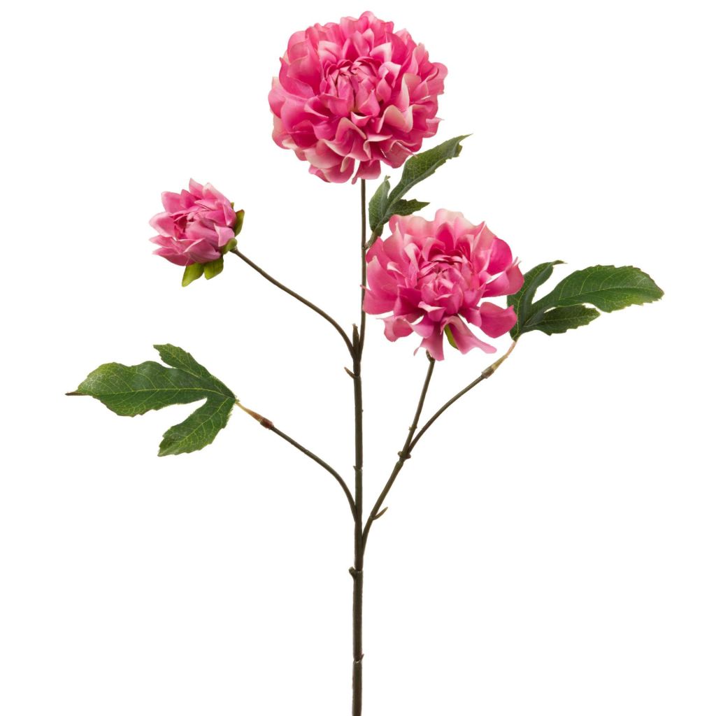 BRANCHE DE DAHLIA LINDA FUCHSIA 64 CM - Photo N°1